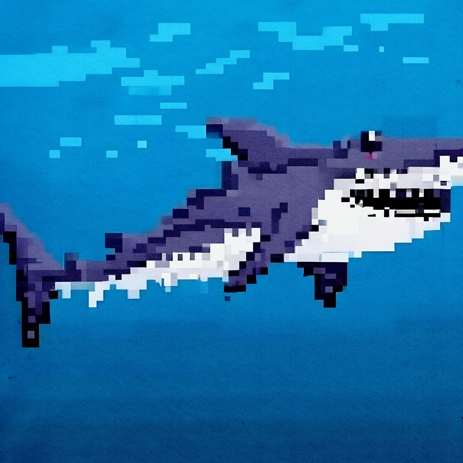 Слушать PAVIIDLA — SPACE SHARK на всех площадках