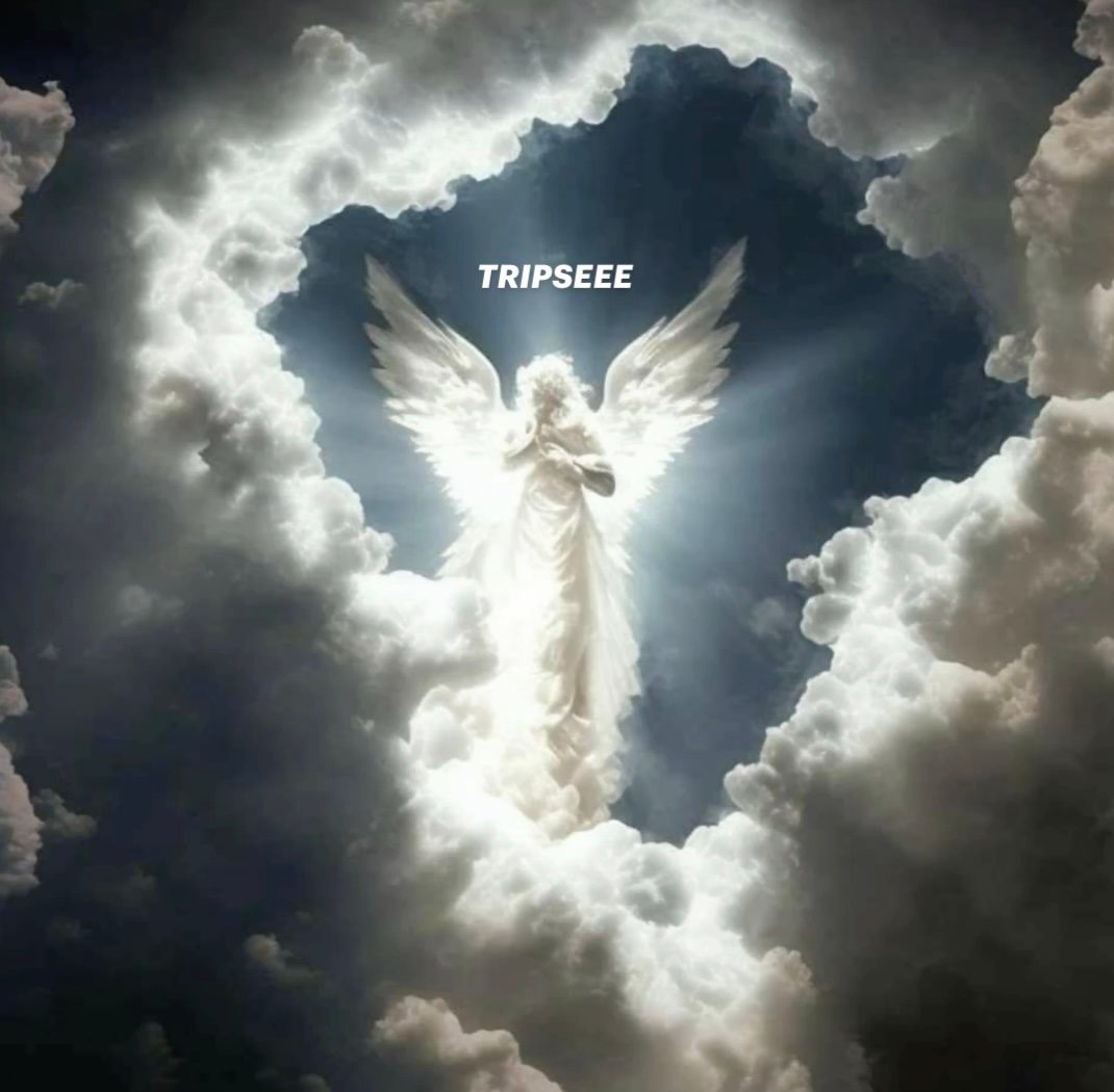 Слушать TRIPSEEE — Муза на всех площадках