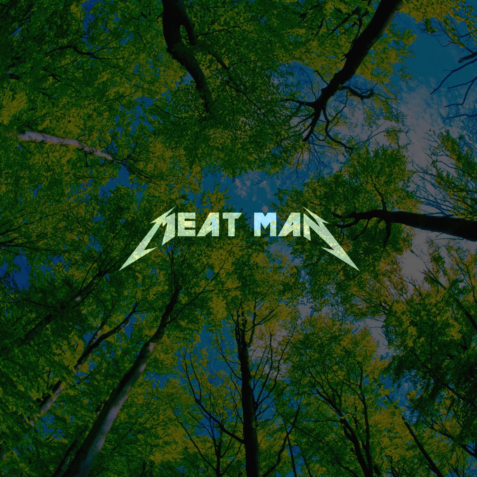 Слушать MEAT MAN — Жизненный цикл 2 на всех площадках