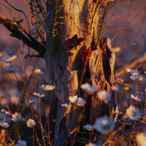 Слушать Sadao — Dragon Tear на всех площадках