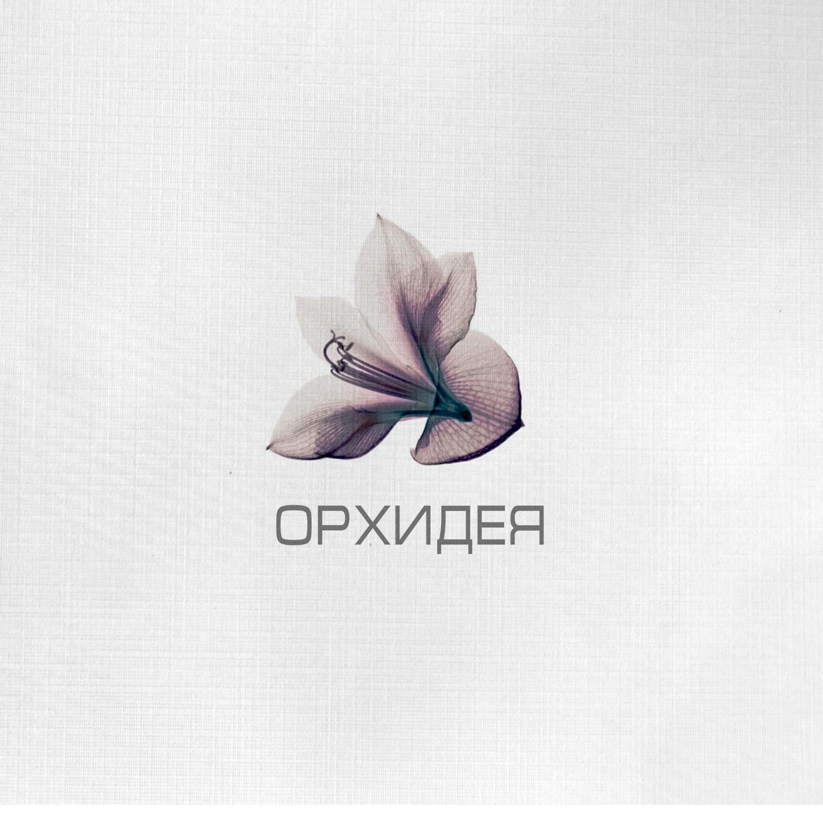 Слушать Влад IPT — Орхидея(prod. musiculll) на всех площадках