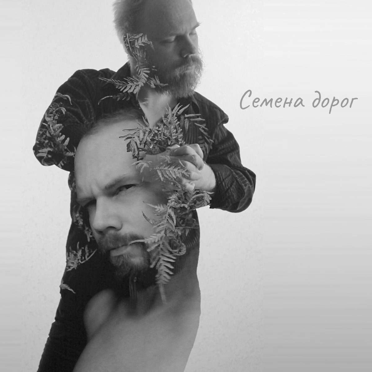 Слушать Диммис Варт — Семена дорог на всех площадках