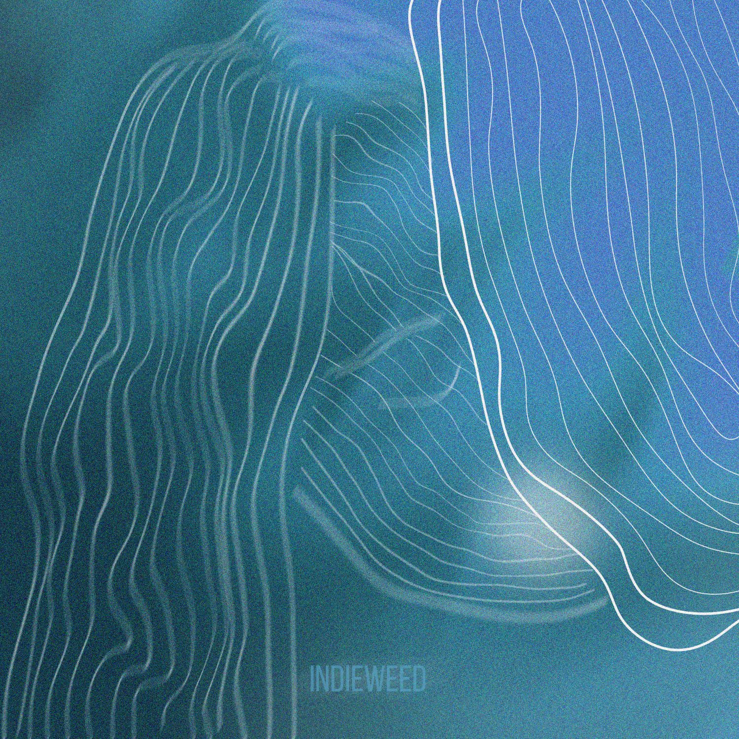 Слушать indieweed — Сплошные полосы на всех площадках